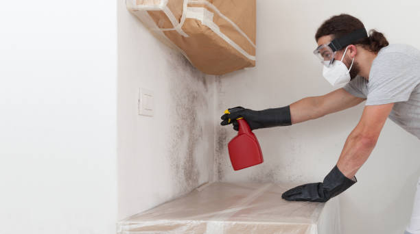 Professional Mold Removal technician working in Harmans, MD